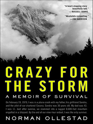 cover image of Crazy for the Storm
